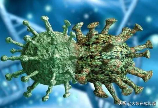 XBB毒株到底該怎么預(yù)防?我們一起來了解一下