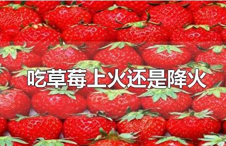 吃草莓上火嗎（吃草莓上火還是降火）