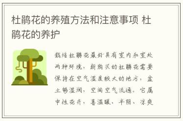 杜鵑花的養殖方法和注意事項 杜鵑花的養護