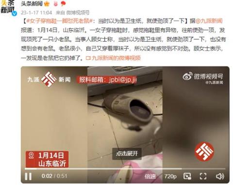 女子穿拖鞋一腳懟死小老鼠!網(wǎng)友調(diào)侃:吸入過量“毒氣”致死