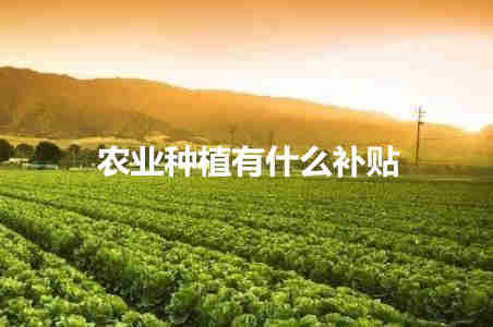 農業種植有什么補貼 農業種植補貼都有哪些