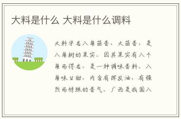 大料是什么 大料是什么調料都有哪些
