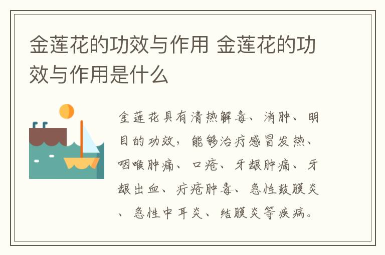 金蓮花的功效與作用 金蓮花的功效與作用是什么