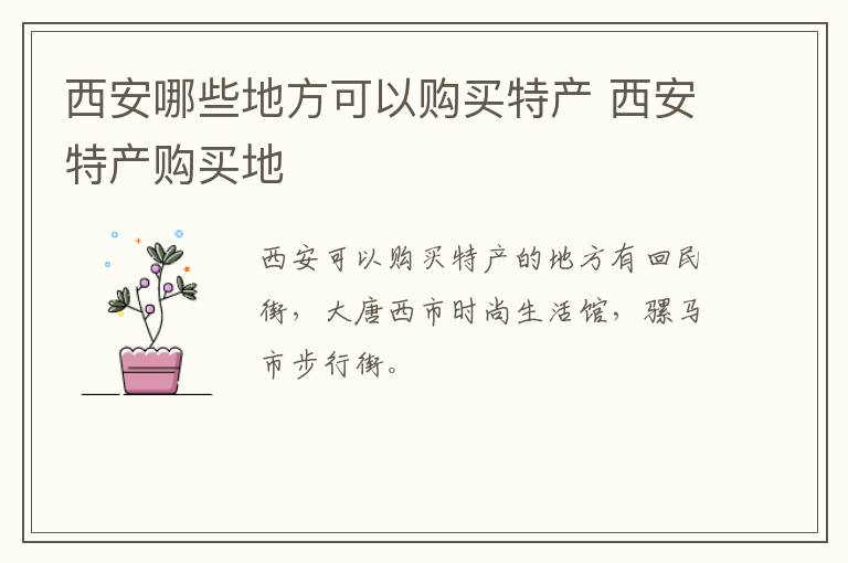 西安哪些地方可以購買特產 西安特產購買地介紹