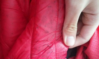 衣服發(fā)霉用什么洗掉霉斑 4種方法去除衣服發(fā)霉霉點