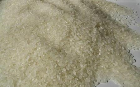 大米對人體的好處 白米飯有哪些營養
