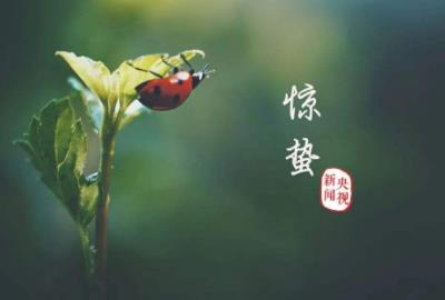 驚蟄節氣要注意什么？驚蟄時節養生應注意什么？