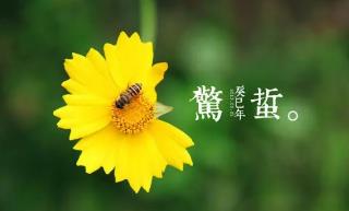 月夜反映的節氣是指的什么時候（詩詞鑒賞之劉方平的月夜）