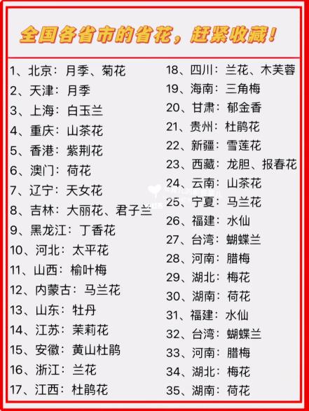 全國各省市的省花（中國各省省花一覽表 完整版），趕緊收藏！