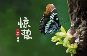 月夜反映的節氣是指的什么時候(驚蟄節氣及介紹)