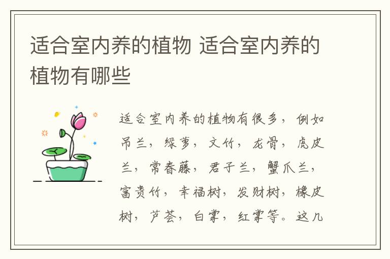 適合室內養的植物 適合室內養的植物有哪些
