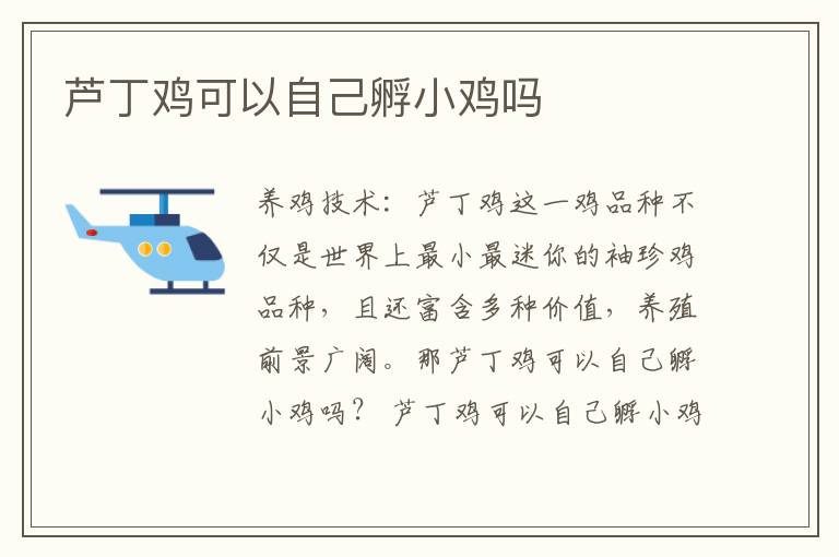 蘆丁雞可以自己孵小雞嗎