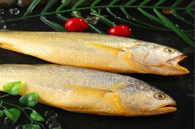 黃魚和黃花魚的區別