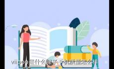 直播上的viipoo是什么牌子手機