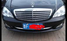 魯f是哪里的車牌？魯f山東哪里的？