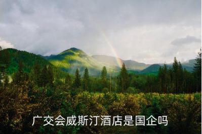廣交會威斯汀酒店是國企嗎