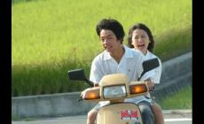 日本最感人催淚電影50年代(日本最催淚的10部電影)