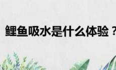 鯉魚(yú)吸水是什么體驗(yàn)?鯉魚(yú)吸水有多舒服?