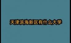 天津濱海新區有哪幾所大學