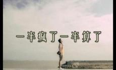 一半瘋了一半算了歌詞 - 劉振宇好聽(tīng)的歌曲
