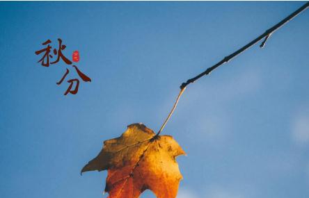 經(jīng)典秋分節(jié)氣唯美句子