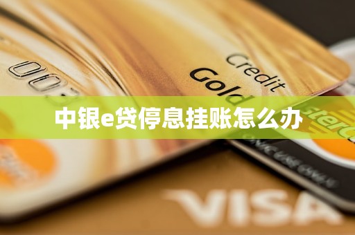 中銀e貸停息掛賬怎么辦