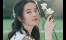 劉亦菲憑一部劇帶火了5個人，怎么回事？
