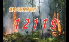 森林火災(zāi)報警電話是多少?