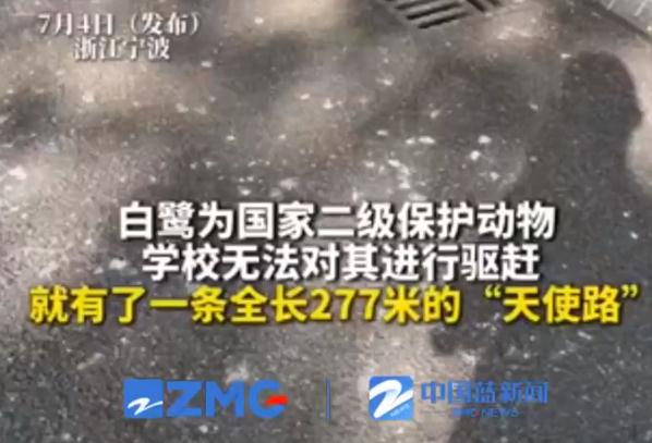 私寵百克