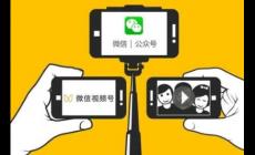微信id號怎么查找到人的信息(微信id號怎么查找到人)