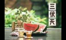 最近還這么熱?三伏天從什么時(shí)候開(kāi)始至結(jié)束?