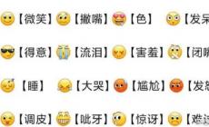 微信58個(gè)表情含義圖(附圖標(biāo)含義詳解)