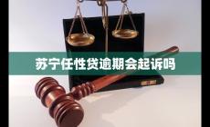 蘇寧任性貸逾期會(huì)起訴嗎