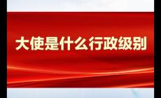 大使是什么行政級(jí)別的官職 大使的行政級(jí)別