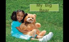 bigbear是什么意思?bigbear的中文意思
