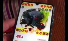 88元網購的4只烏雞洗出一盆黑水，品質被消費者質疑