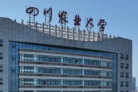 四川農(nóng)業(yè)大學(xué)是985大學(xué)還是211大學(xué)