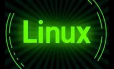Linux下出現permission denied怎么解決(解決辦法)