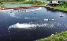 一畝地可以養(yǎng)多少魚合適(一畝地可以養(yǎng)多少魚)