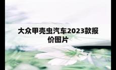 大眾甲殼蟲汽車2023款報價圖片(大眾甲殼蟲怎么樣)