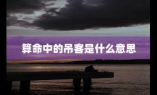 算命中的吊客是什么意思(吊客是什么意思)