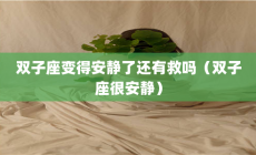 雙子座安靜嗎？當雙子座變得安靜了還有救嗎？