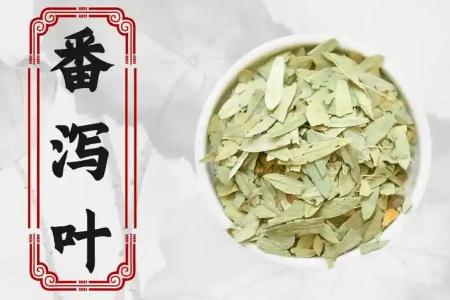 長期便秘喝番瀉葉好嗎 我已經喝番瀉葉14年了