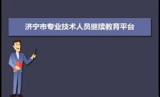 濟寧市專業(yè)技術(shù)人員繼續(xù)教育管理服務(wù)平臺入口