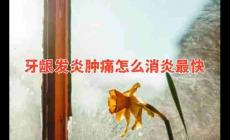 牙齦發炎腫痛怎么消炎最快？