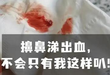 擤鼻涕鼻子經(jīng)常出血是什么原因  每次擤鼻涕都有血是啥毛病